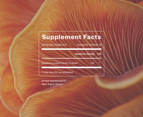 Nootropic Trio