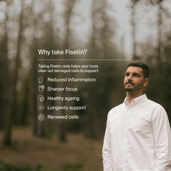 Pure Fisetin by Manapura | The Best, Pure, Clinical-Grade Longevity & Nootropic Supplements | Free Shipping