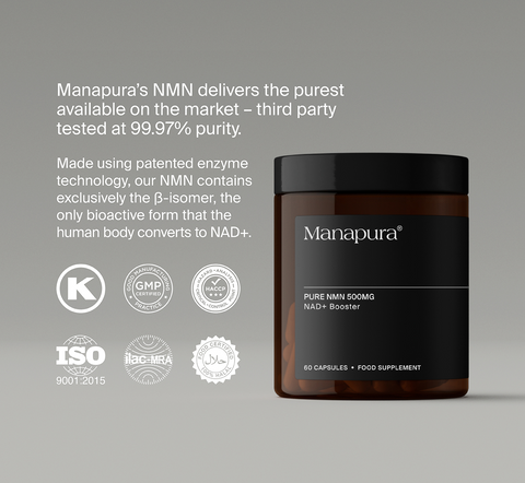 Travel Stack by Manapura | The Best, Pure, Clinical-Grade Longevity & Nootropic Supplements | Free Shipping