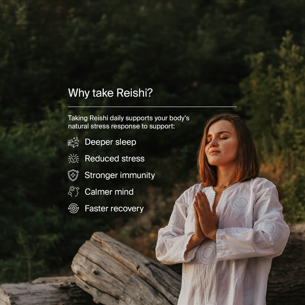 Organic Reishi