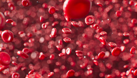 Micronised For Max Absorption