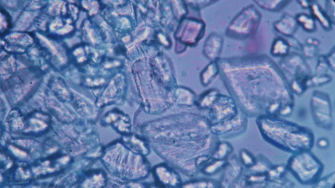 High Bioavailability For Real Impact