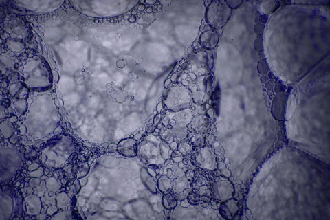 Micronised For Max Absorption