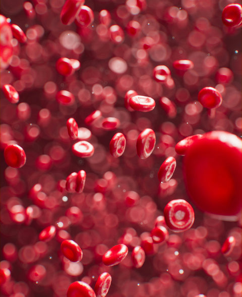 Micronised For Max Absorption