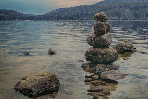 Build Your Custom Supplement Stack 
for Energy, Focus & Longevity